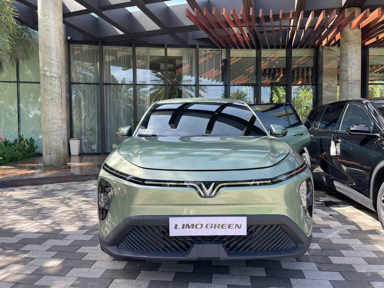 VinFast Limo Green