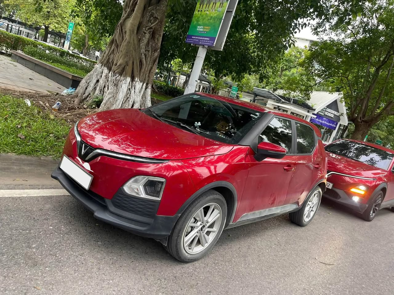 VinFast VF 5 vs Toyota Raize